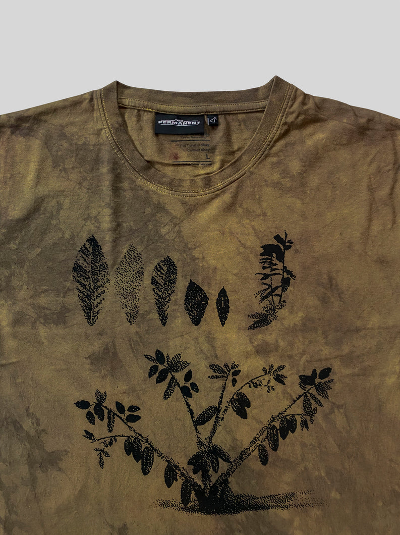 Load image into Gallery viewer, Permanent Clothing Cacao T-shirt