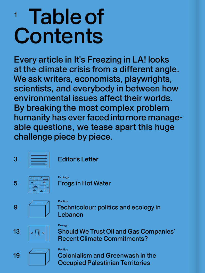 Load image into Gallery viewer, It&#39;s Freezing in La Issue 6