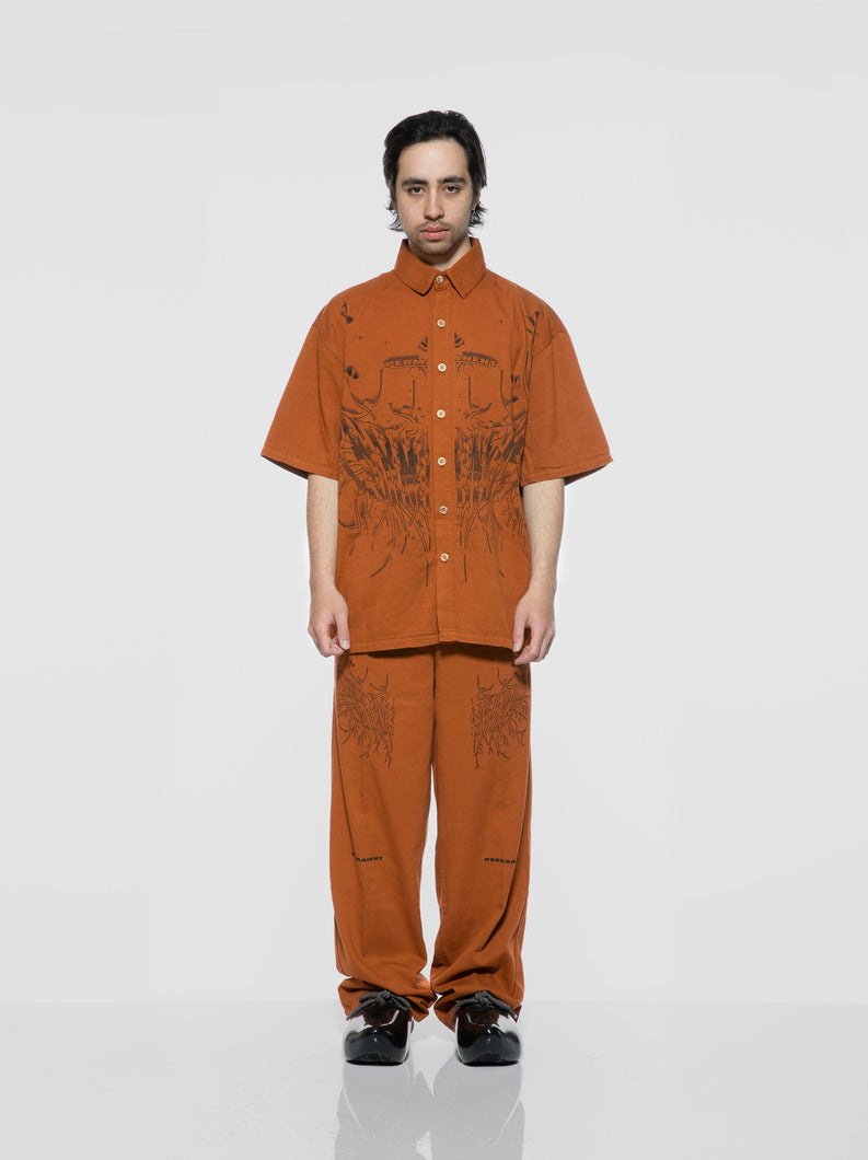 Load image into Gallery viewer, Permanent Earth shirt